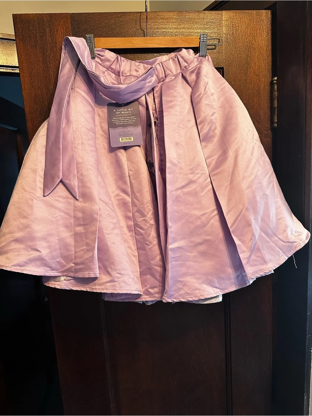 Halloween DisneyxCamp Encanto Limited Edition Satin Floral Skirt NWT